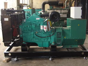 銅陵柴油發(fā)電機組租賃 如何買專業(yè)的柴油發(fā)電機組